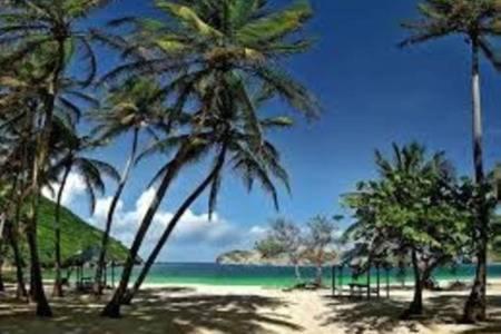 Aux Iles D'Amour Terre-De-Haut ภายนอก รูปภาพ